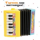 Музыкальная игрушка «Музыкальный взрыв», гармонь, МИКС - Фото 3