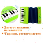 Музыкальная игрушка «Музыкальный взрыв», гармонь, МИКС - Фото 5