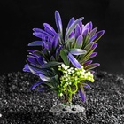 Растение искусственное аквариумное, 14.5×13×13 см - Фото 1