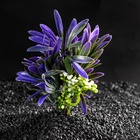 Растение искусственное аквариумное, 14.5×13×13 см - Фото 2
