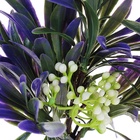 Растение искусственное аквариумное, 14.5×13×13 см - Фото 5