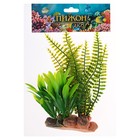 Растение искусственное аквариумное на подставке под камень, 17 х 14 х 16 см - фото 8988210