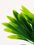 Растение искусственное аквариумное, на подставке под камень, 17×14×16 см - Фото 7