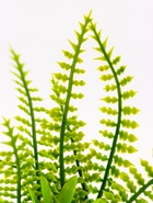 Растение искусственное аквариумное, на подставке под камень, 17×14×16 см - Фото 8