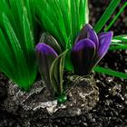 Растение искусственное аквариумное, 18 х 10 х 11,5 см микс цветов - Фото 3