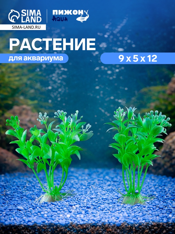 Набор растений искусственных для аквариума, 12 см, 2 шт. - Фото 1
