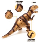 Динозавр «Рекс» работает от батареек, световые и звуковые эффекты, цвета МИКС - Фото 3