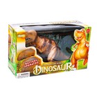 Динозавр «Рекс» работает от батареек, световые и звуковые эффекты, цвета МИКС - Фото 6