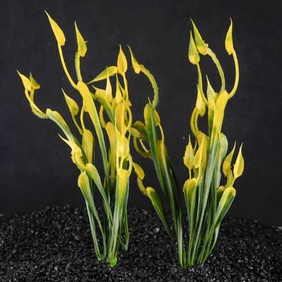 Набор растений искусственных для аквариума (2 шт.), 24 см