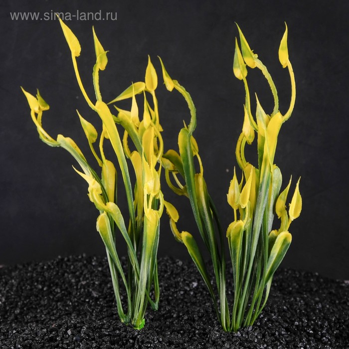 Набор растений искусственных для аквариума (2 шт.), 24 см - Фото 1