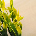 Набор растений искусственных для аквариума (2 шт.), 24 см - Фото 4