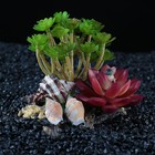 Островок с ракушками и растениями искусственными для аквариума, 12 х 11 х 9,5 см - Фото 1
