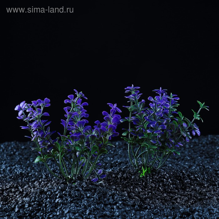 Набор растений для аквариума и террариума - 2 шт., 10 см - Фото 1