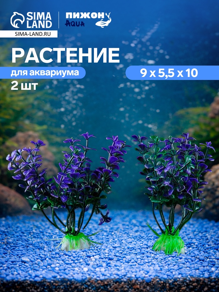 Набор растений для аквариума и террариума - 2 шт., 10 см - Фото 1