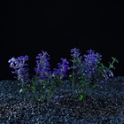 Набор растений для аквариума и террариума - 2 шт., 10 см - Фото 2