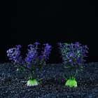 Набор растений для аквариума и террариума - 2 шт., 10 см - Фото 3