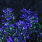 Набор растений для аквариума и террариума - 2 шт., 10 см - Фото 3