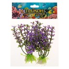 Набор растений для аквариума и террариума - 2 шт., 10 см - Фото 5