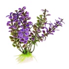 Набор растений для аквариума и террариума - 2 шт., 10 см - Фото 5