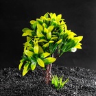 Растение искусственное аквариумное, 15.5×12×20.5 см - Фото 3