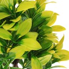 Растение искусственное аквариумное, 15.5×12×20.5 см - Фото 4