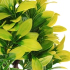 Растение искусственное аквариумное, 15.5×12×20.5 см - Фото 5