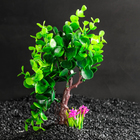 Растение искусственное аквариумное, 18 х 11 х 21,5 см - Фото 2