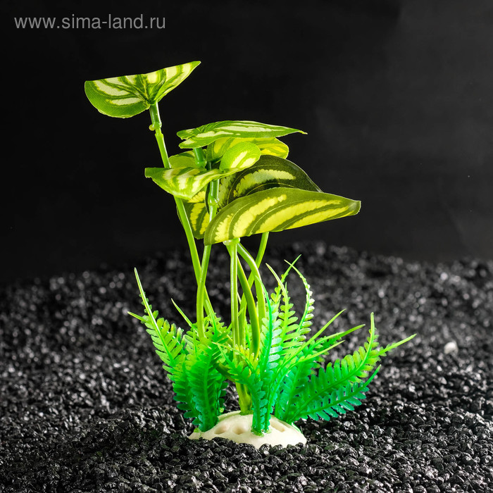 Растение искусственное аквариумное, 10,5 х 10,5 х 14 см - Фото 1