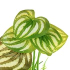 Растение искусственное аквариумное, 10,5 х 10,5 х 14 см - Фото 3