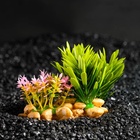 Растение искусственное аквариумное, на подставке под камень, 14×11×7 см - Фото 1