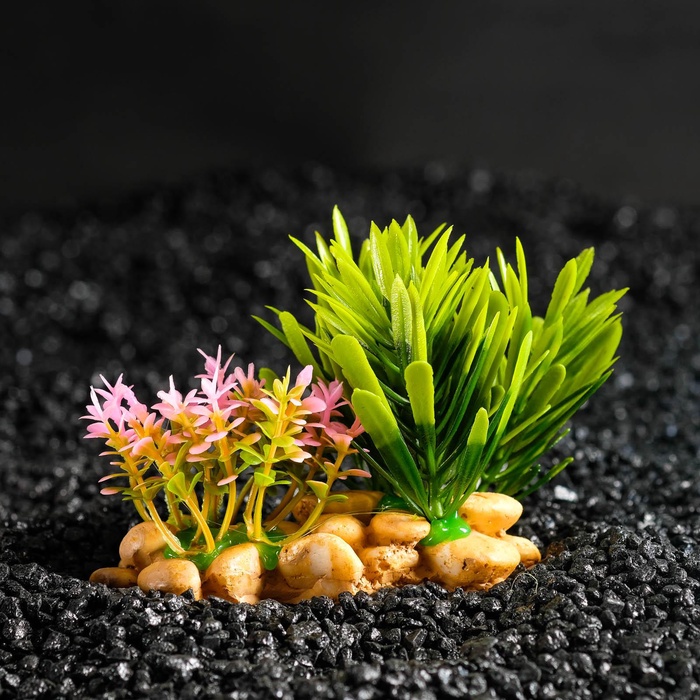 Растение искусственное аквариумное, на подставке под камень, 14×11×7 см - Фото 1