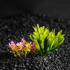 Растение искусственное аквариумное, на подставке под камень, 14×11×7 см - Фото 3