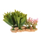Растение искусственное аквариумное, на подставке под камень, 14×11×7 см - Фото 5