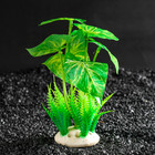 Растение искусственное аквариумное, 11,5 х 11,5 х 14,5 см - Фото 2
