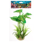 Растение искусственное аквариумное, 11,5 х 11,5 х 14,5 см - Фото 4