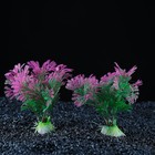 Набор растений искусственных для аквариума (2 шт), 10 см - фото 8988212