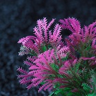 Набор растений для аквариума и террариума - 2 шт., 10 см - Фото 3