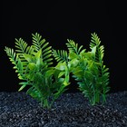 Набор растений искусственных для аквариума (2 шт), 15,5 см - Фото 1