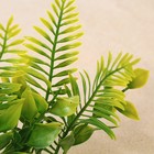 Набор растений искусственных для аквариума (2 шт), 15,5 см - Фото 4