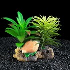 Островок с ракушками и растениями искусственными для аквариума, 10 х 9 х 12 см - Фото 1