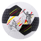 Мяч футбольный VOLGOGRAD, размер 5, 32 панели, PVC, бутиловая камера, 320 г - Фото 2