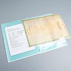 Свидетельство о рождении А5, Me To You (новый формат свидетельства) - Фото 4