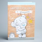 Свидетельство о рождении, Me To You, размер файла 27,5 х 19,5 (новый формат свидетельства) - Фото 1