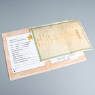 Свидетельство о рождении, Me To You, размер файла 27,5 х 19,5 (новый формат свидетельства) - Фото 5