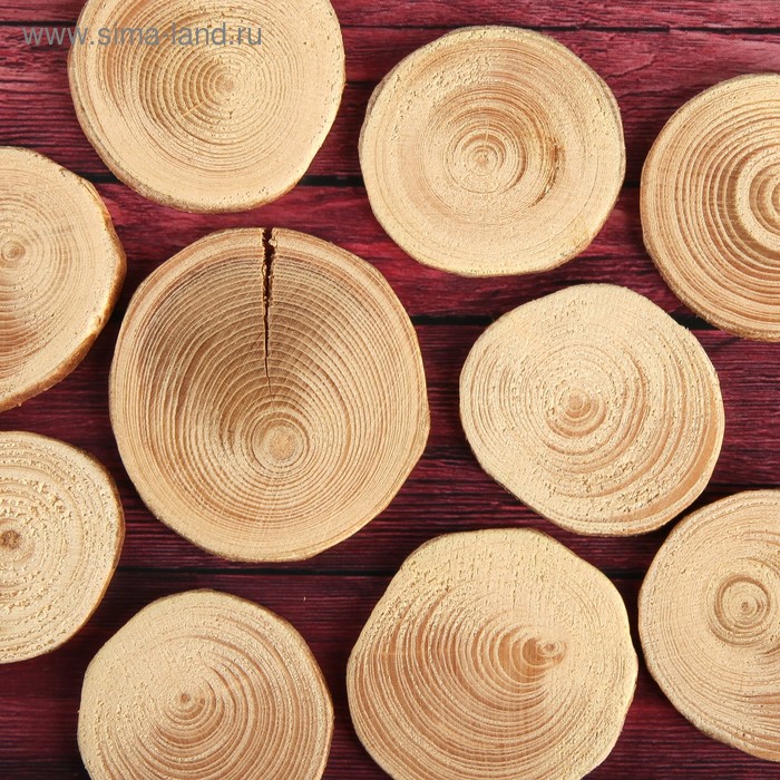 Спил дерева «Еловый», круглый, d=3-4 см, h=3,5 мм - Фото 1