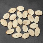 Спил дерева «Сосновый», овальный, d=3-4 см, h=3,5 мм - Фото 1