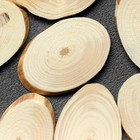 Спил дерева «Сосновый», овальный, d=3-4 см, h=3,5 мм - Фото 3