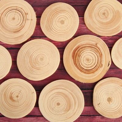 Спил дерева «Сосновый», круглый, d=4-7 см, h=3,5 мм