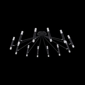 Светильник потолочный Maytoni MOD620CL-24B, 24хG9, 25Вт, 118х118х38 см, цвет чёрный