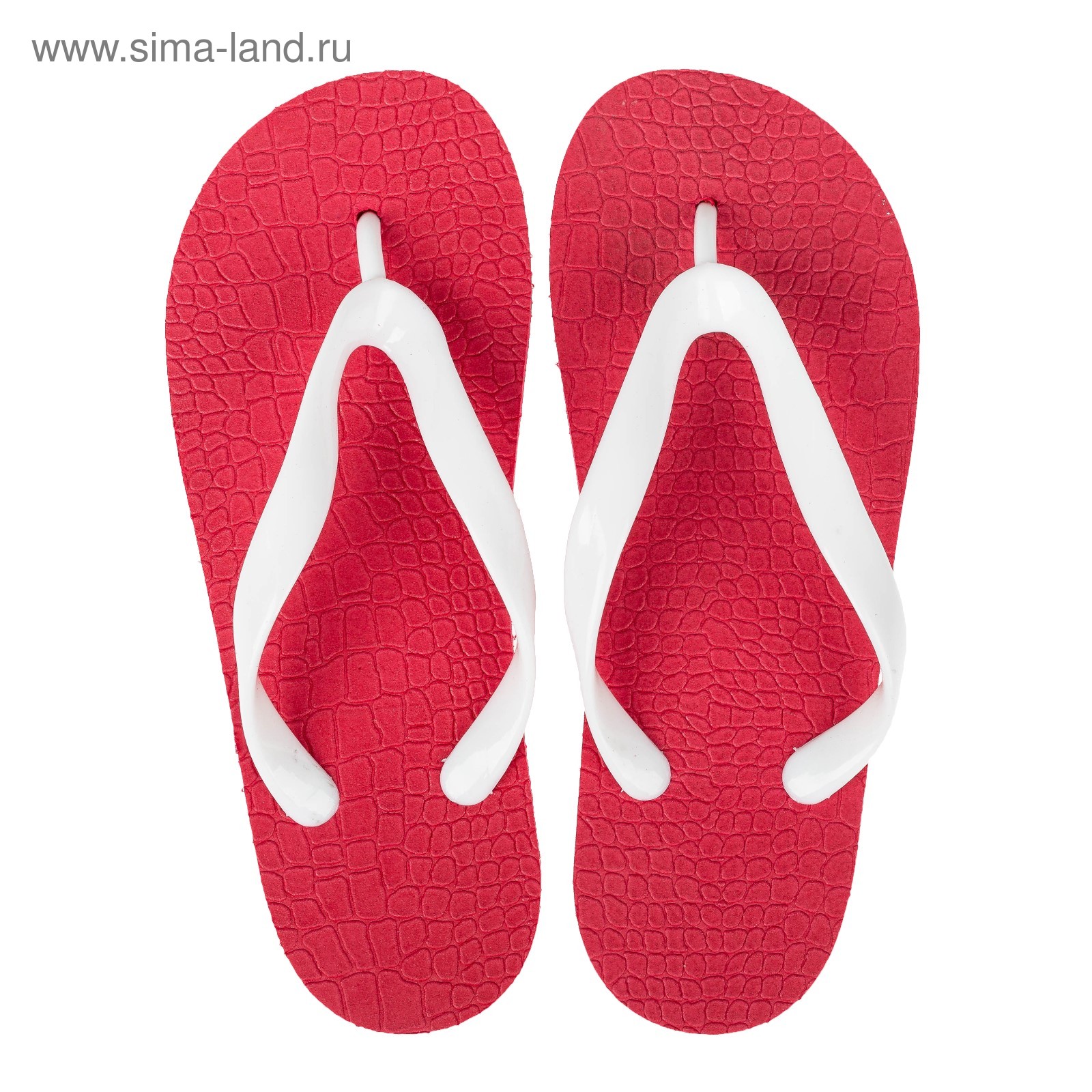 Сланцы для девочек. Магазин элемент в сланцах. Тапки фенди alfox. Сланцы женские резиновые. Мужские шлепки 2022.